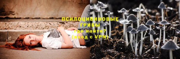 таблы Арсеньев