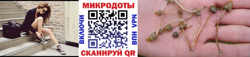 Галлюциногенные грибы ЛСД  Феодосия 